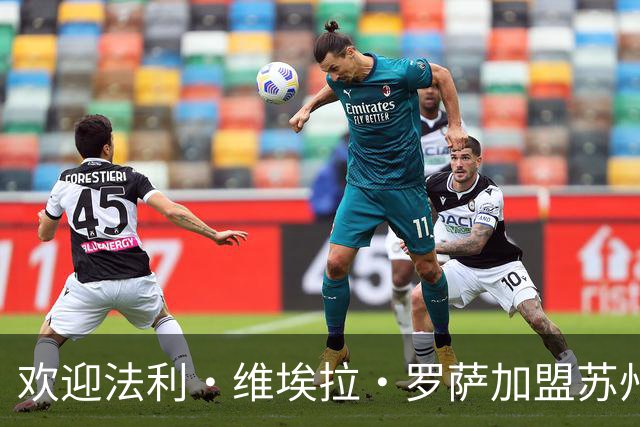 欢迎法利·维埃拉·罗萨加盟苏州东吴足球俱乐部